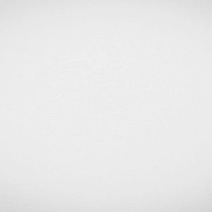 Meet your Posher, Micaila